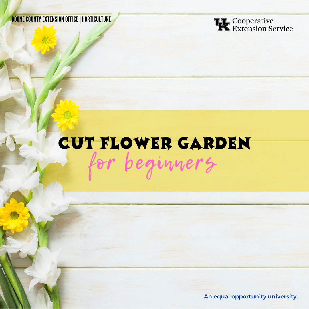 Cut Flower Garden for Beginners, Program Advertisement 