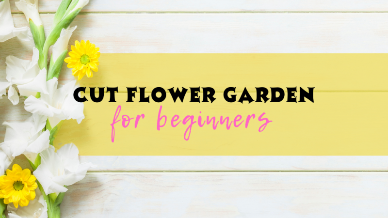 Cut Flower Garden for Beginners, Program Advertisement 
