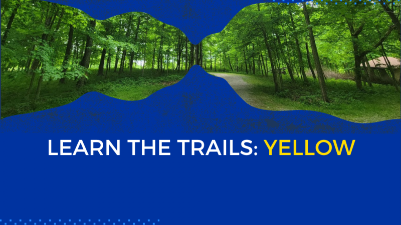 Learn the Trails: Yellow, program advertisement