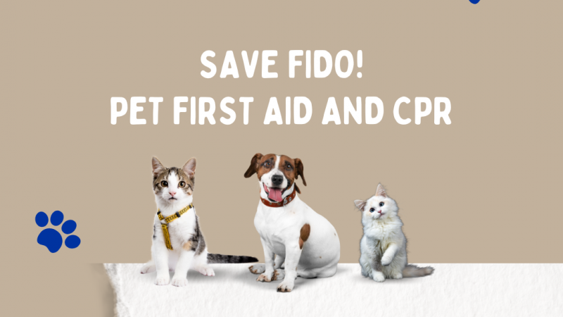 Save Fido! Pet First Aid Program Advertisement. 