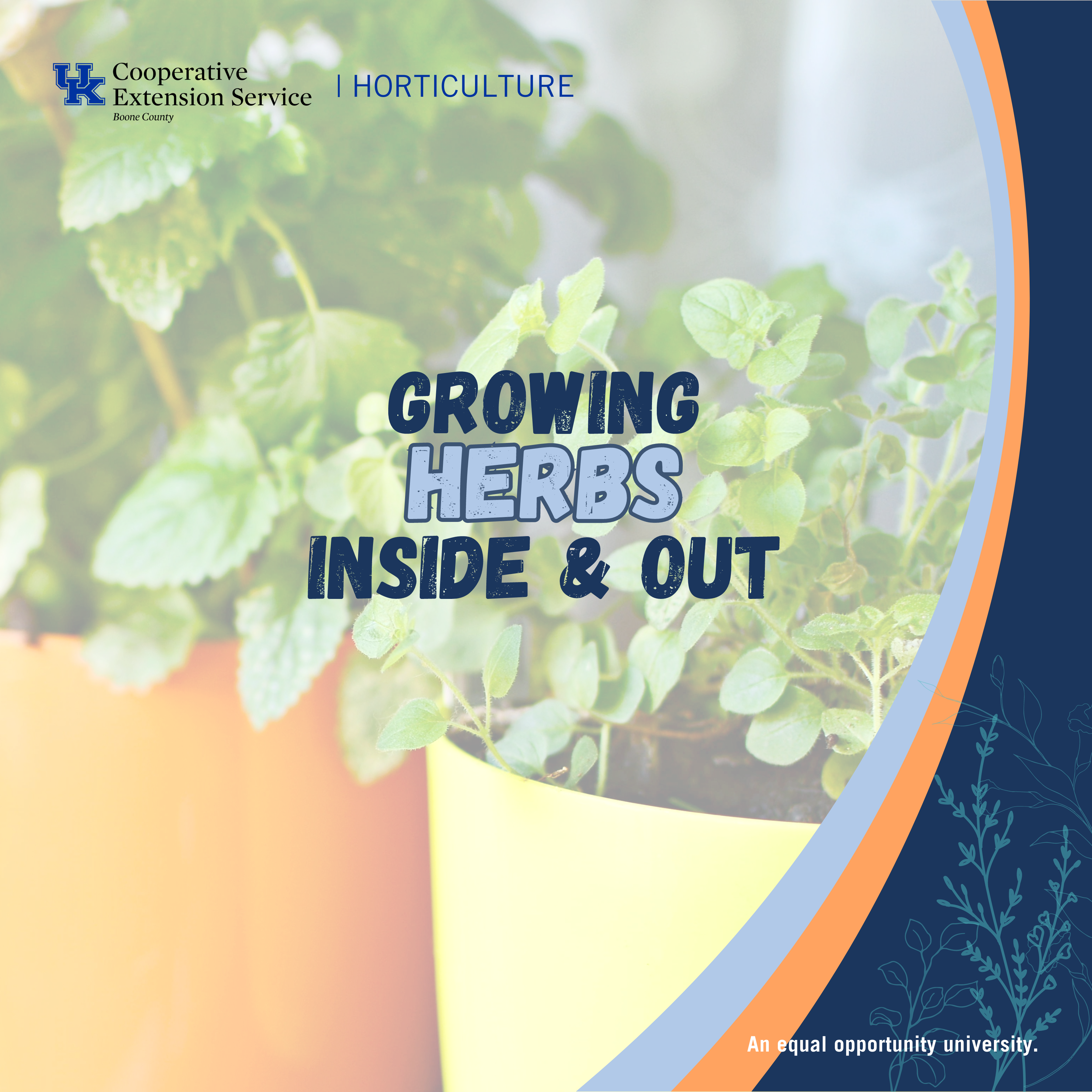 Growing Herbs Inside and Out program advertisement