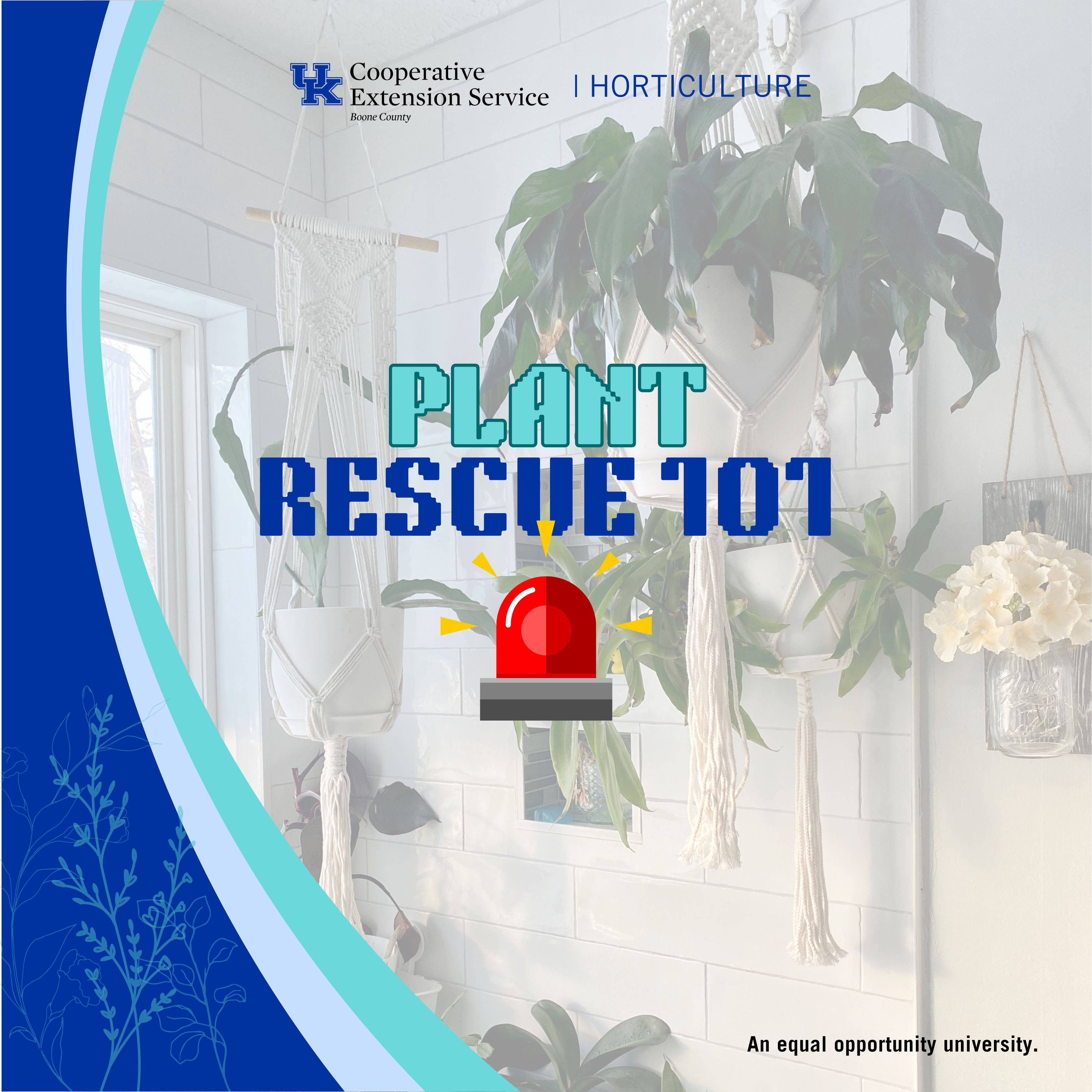 Plant Rescue 101 program advertisement