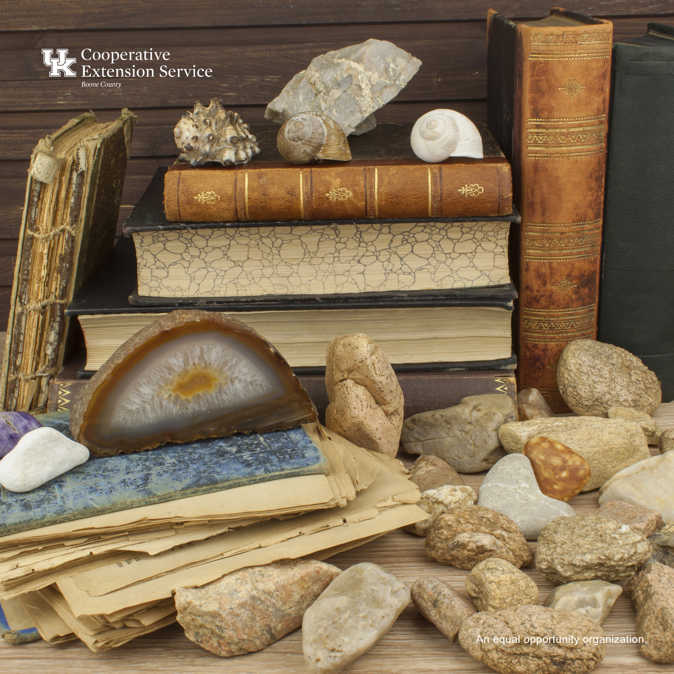 Introduction to Mineralogy
