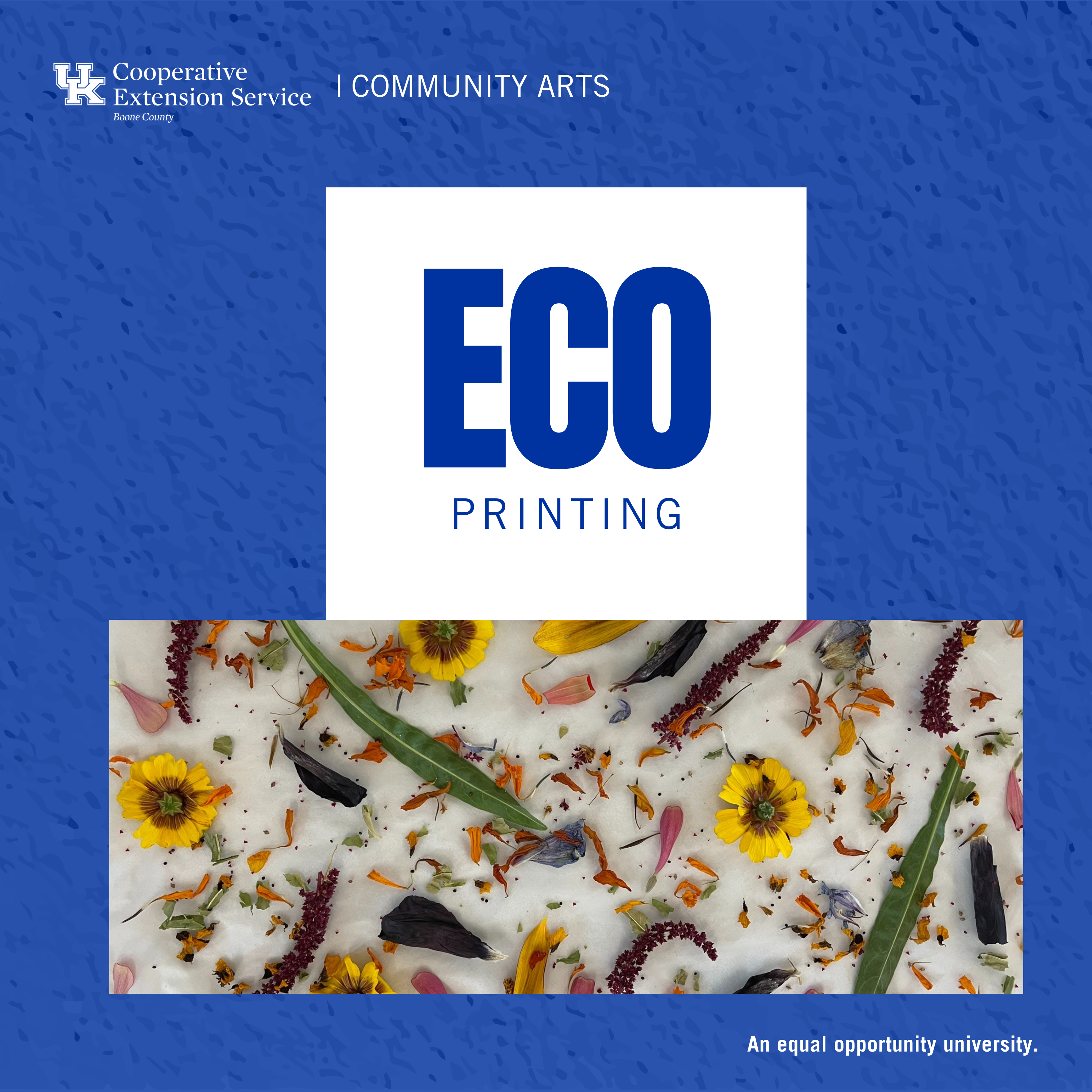 Eco printing program advertisement