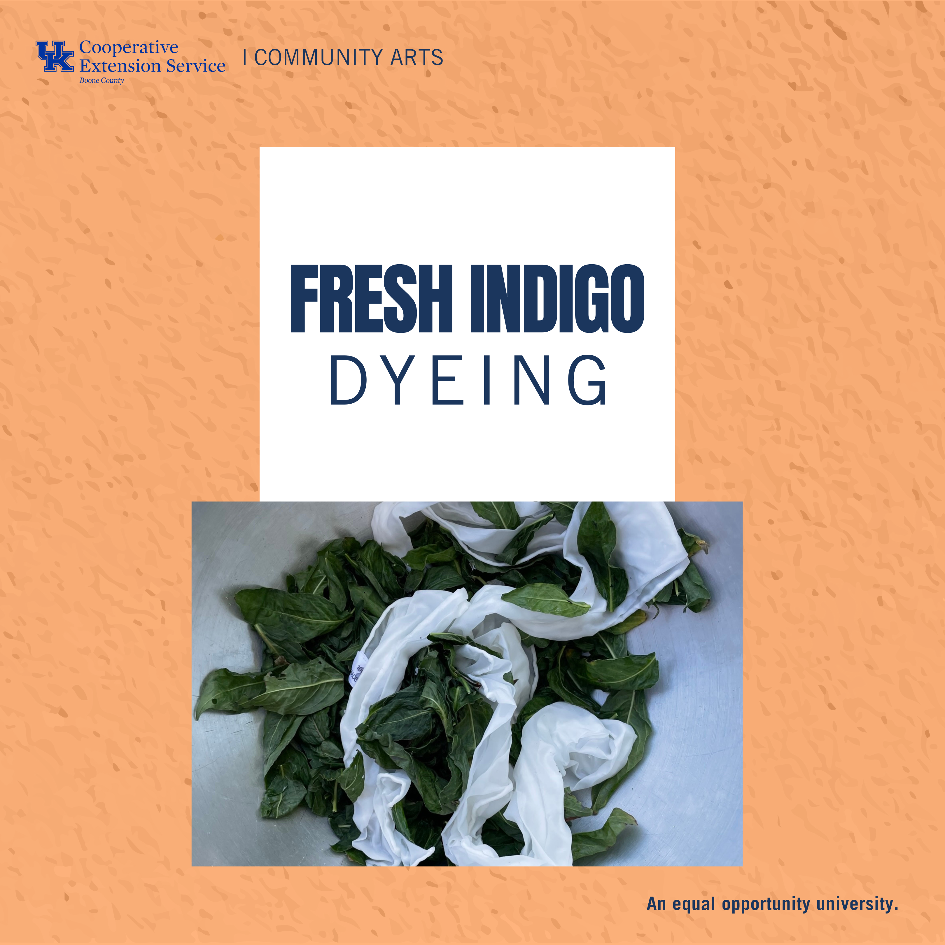 Fresh Indigo Dyeing Program Ad