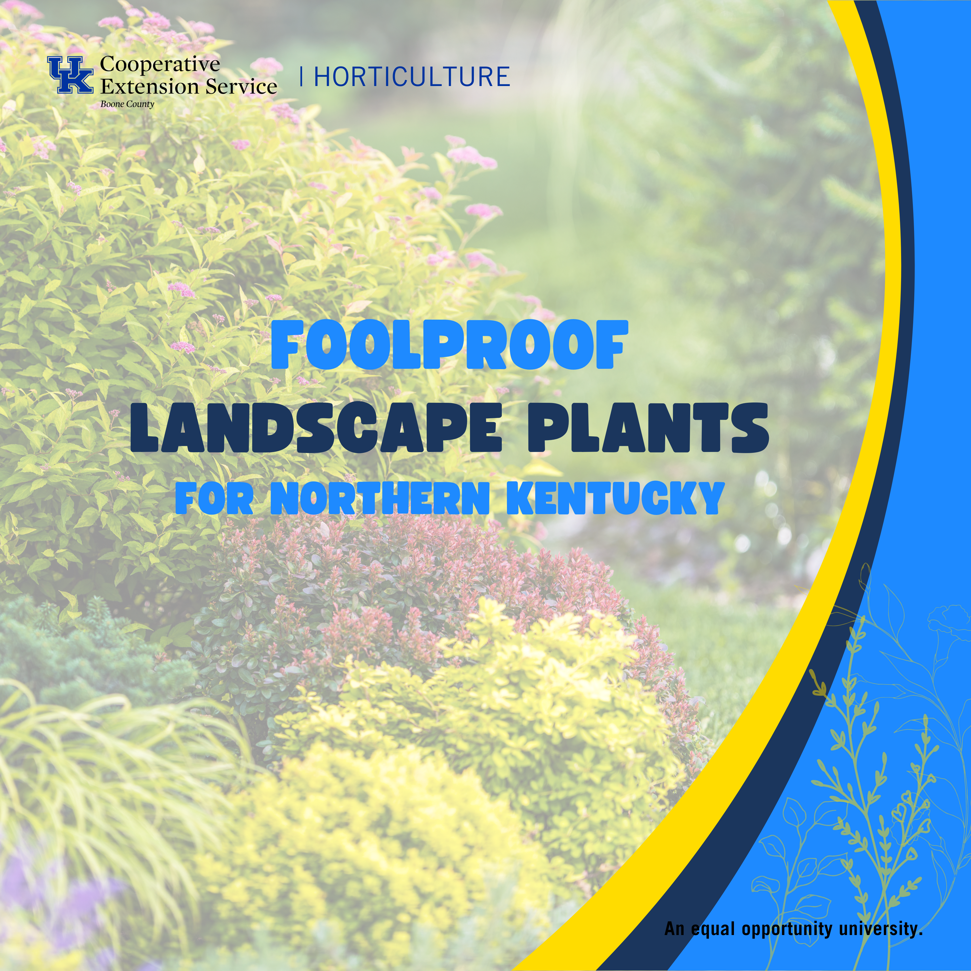 Foolproof landscape plants for NKY program advertisement