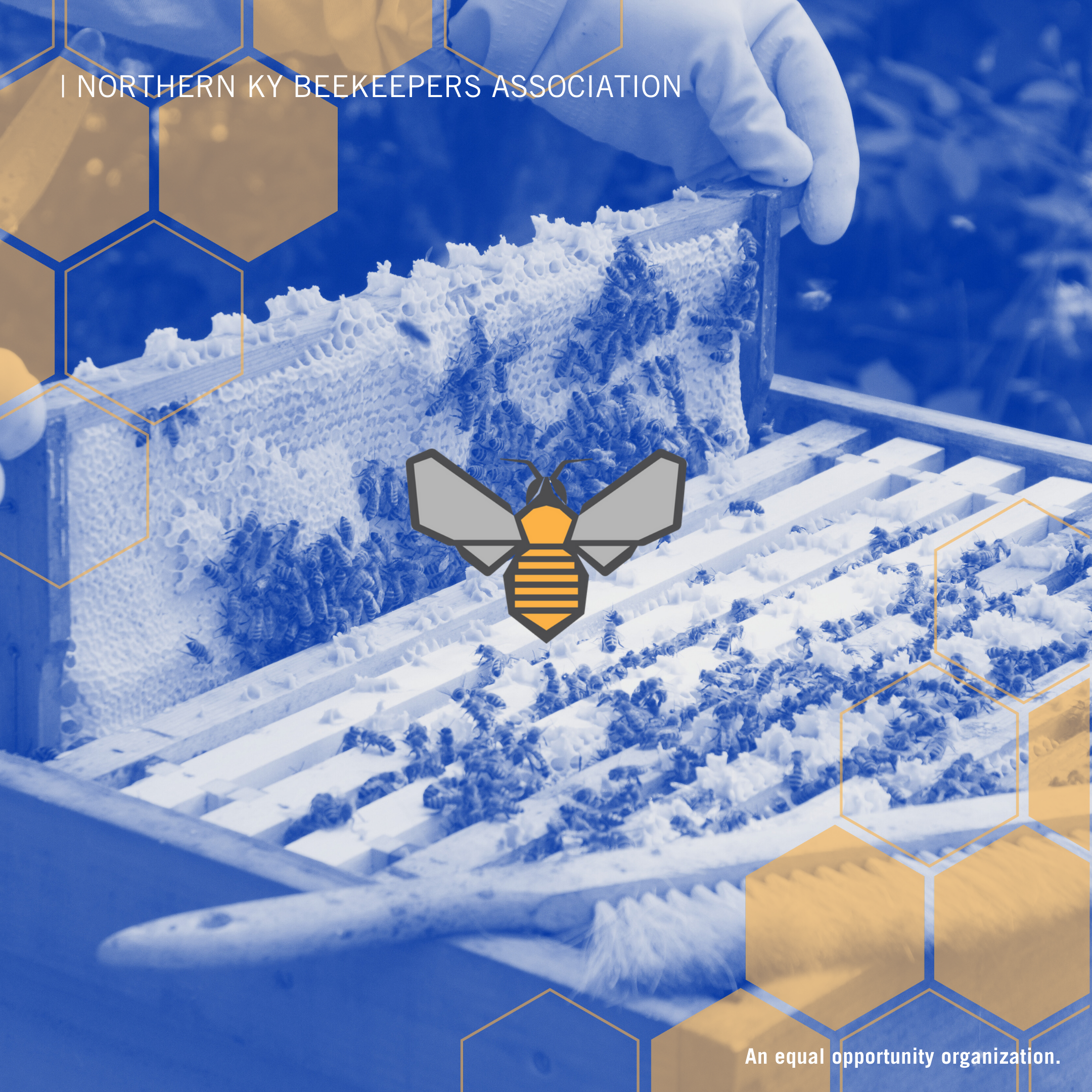 NKBA - Beekeeping 101 School | 2025