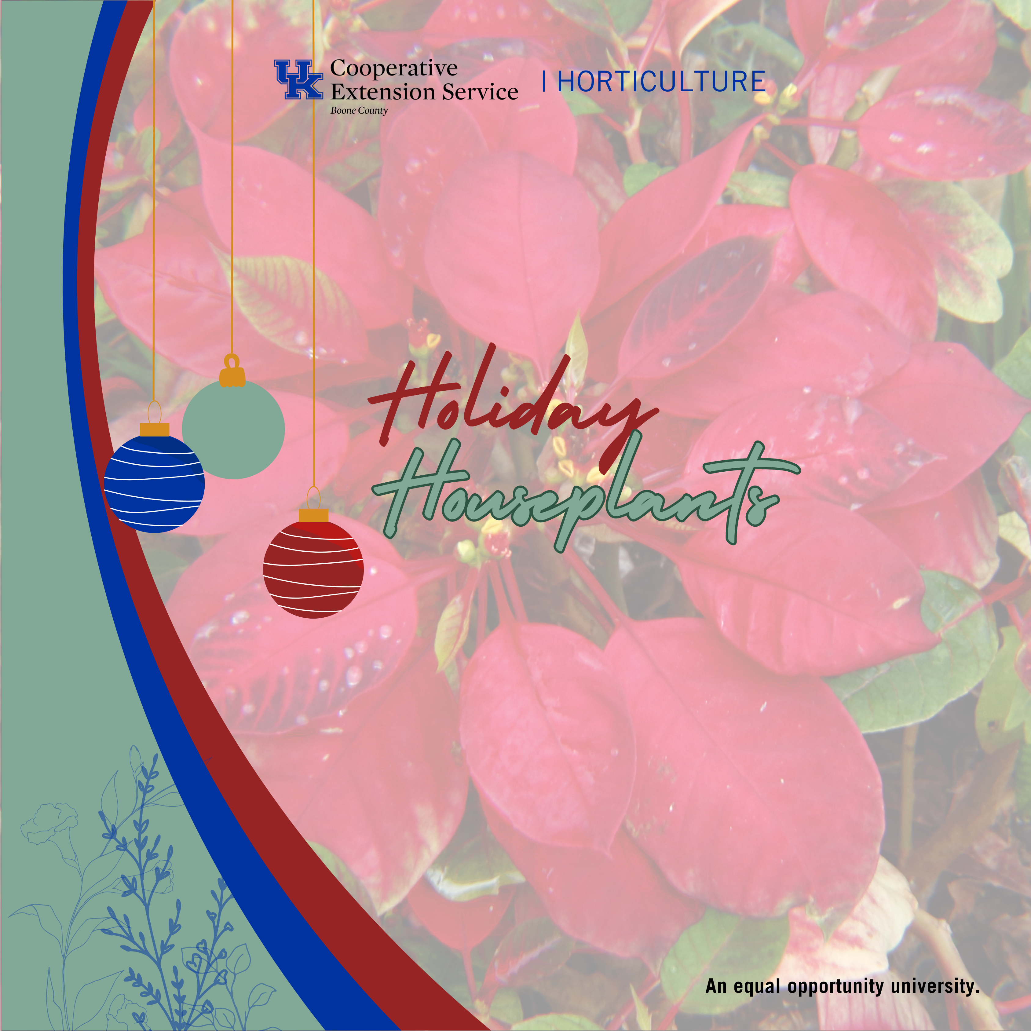 Holiday Houseplants program advertisement