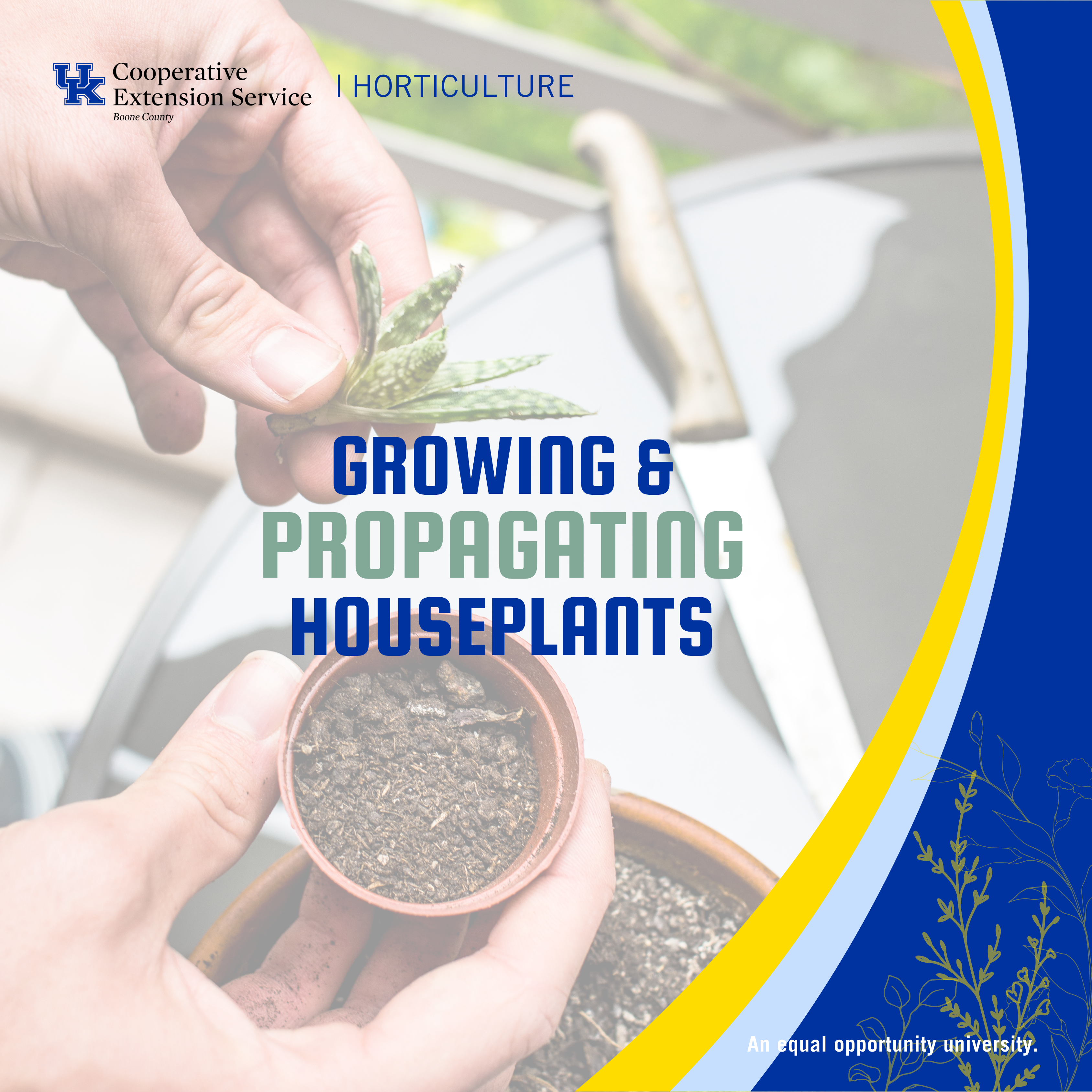 Growing & Propagating Houseplants program advertisement