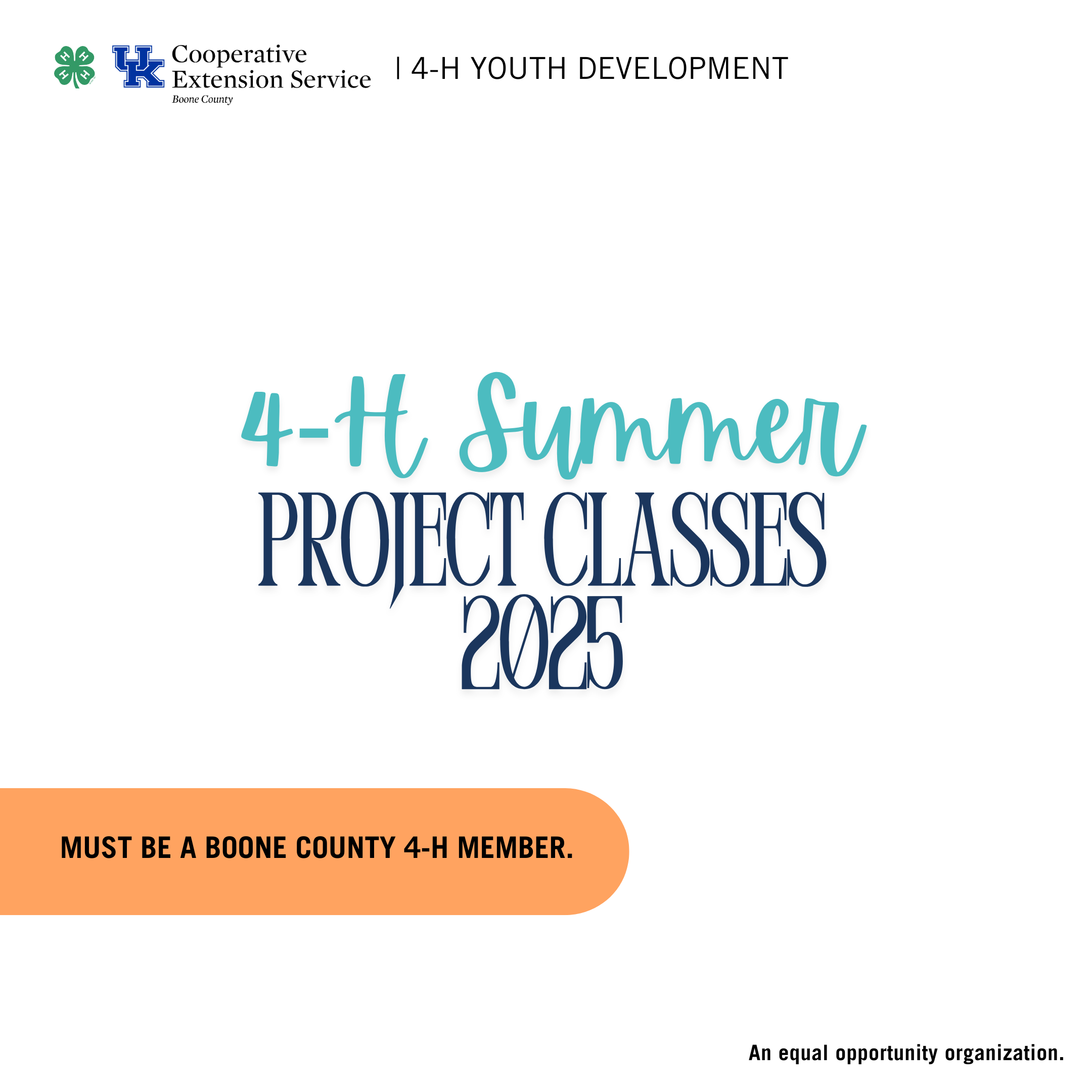 Sashiko | 4-H 2025 Summer Project Class