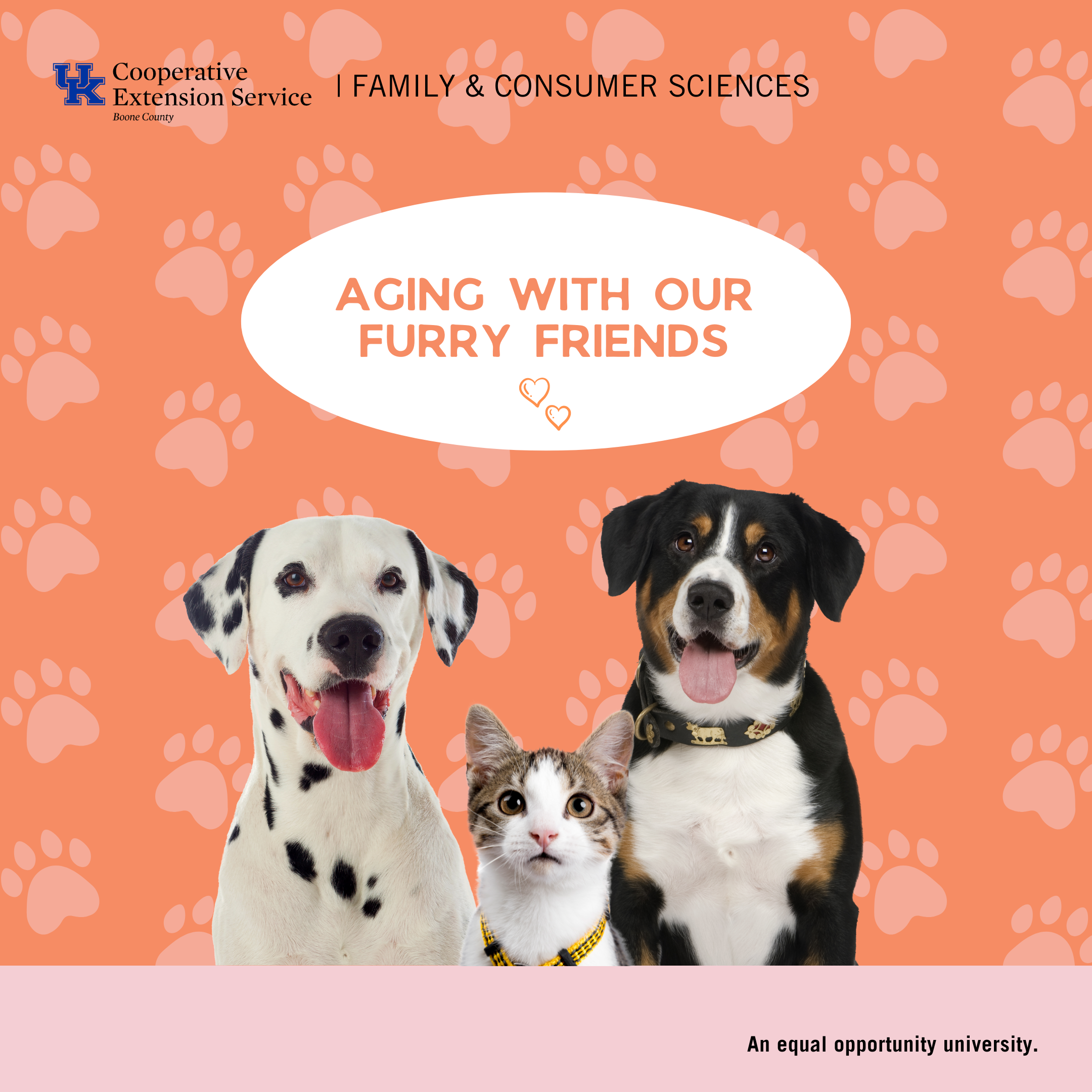 Aging with our furry friends program advertisement