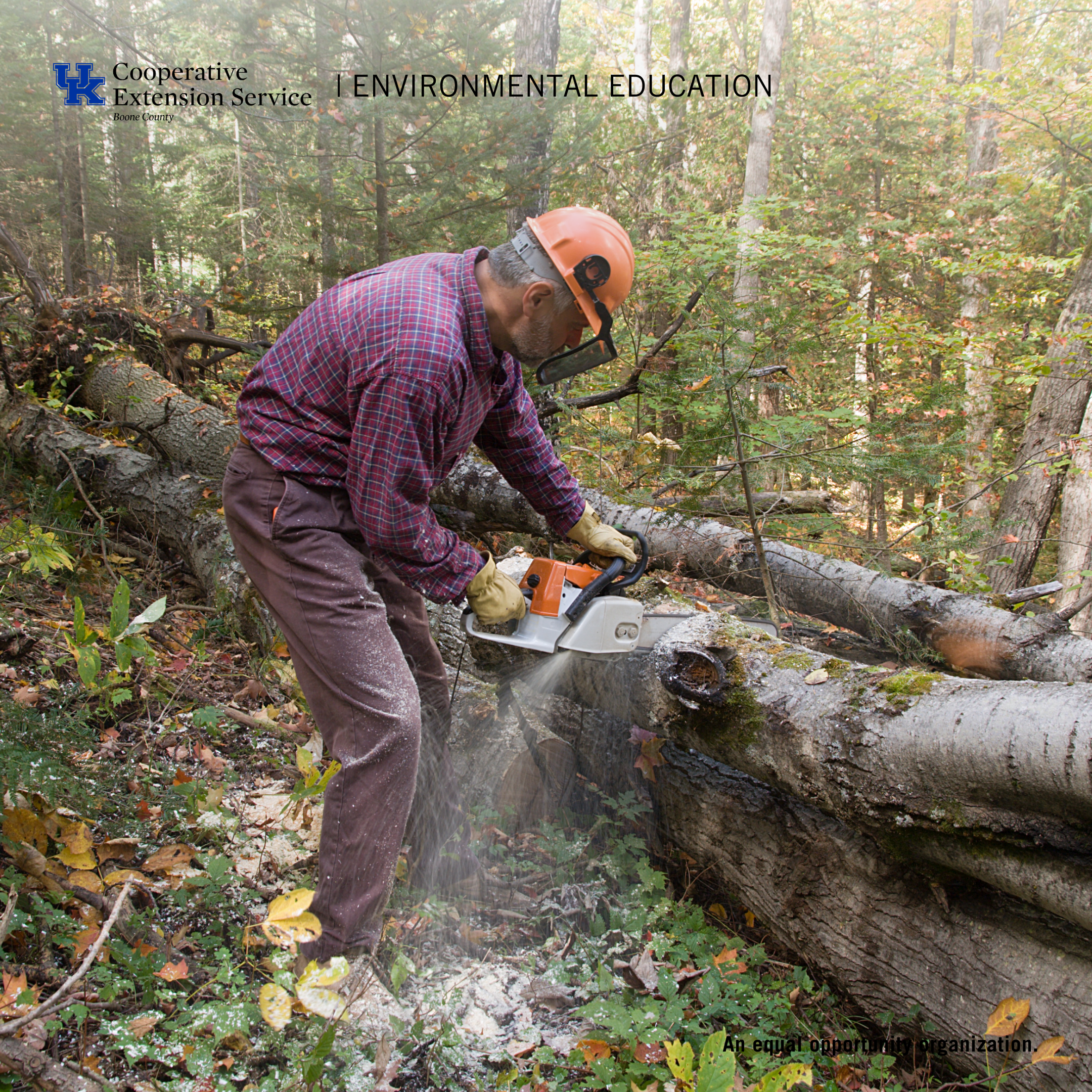 Master Logging Forestry Webinar