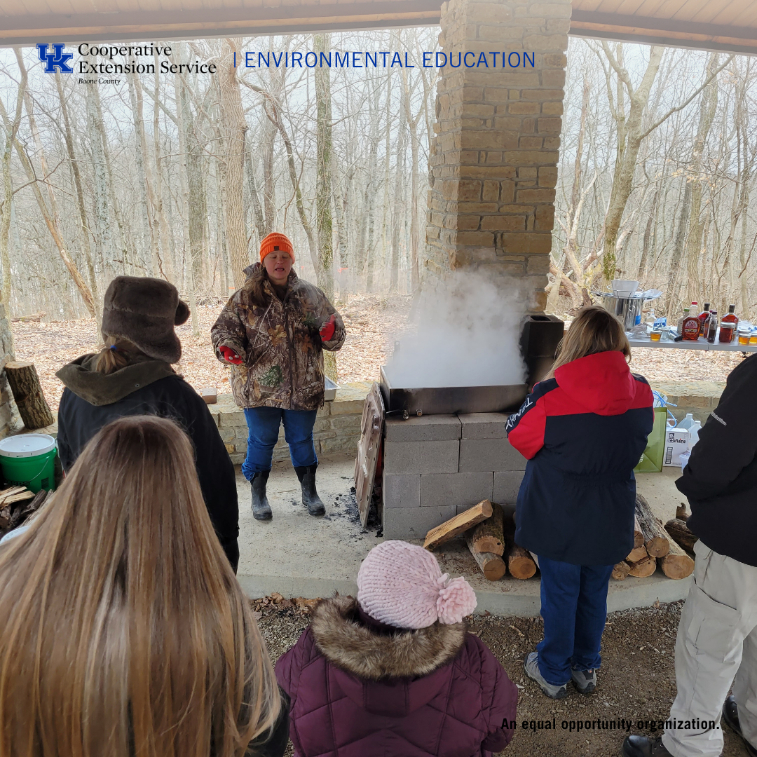 Kentucky Maple Day