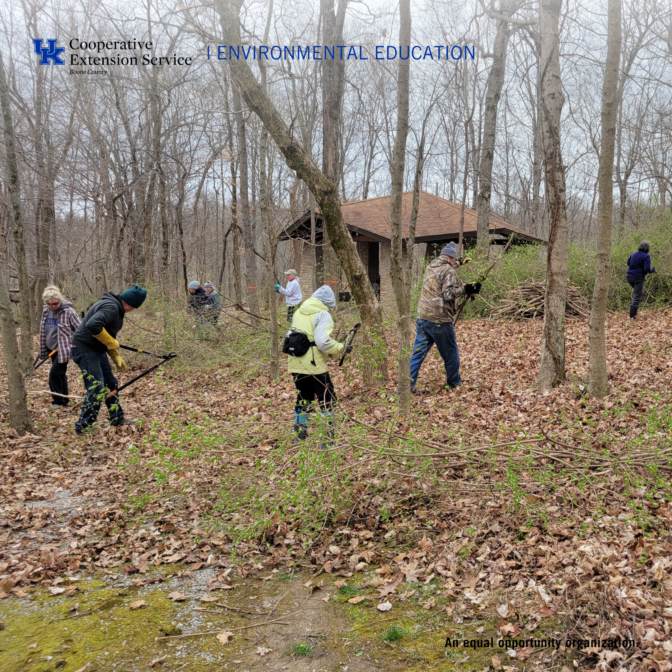 Honeysuckle Removal Volunteer Day @ the Nature Center