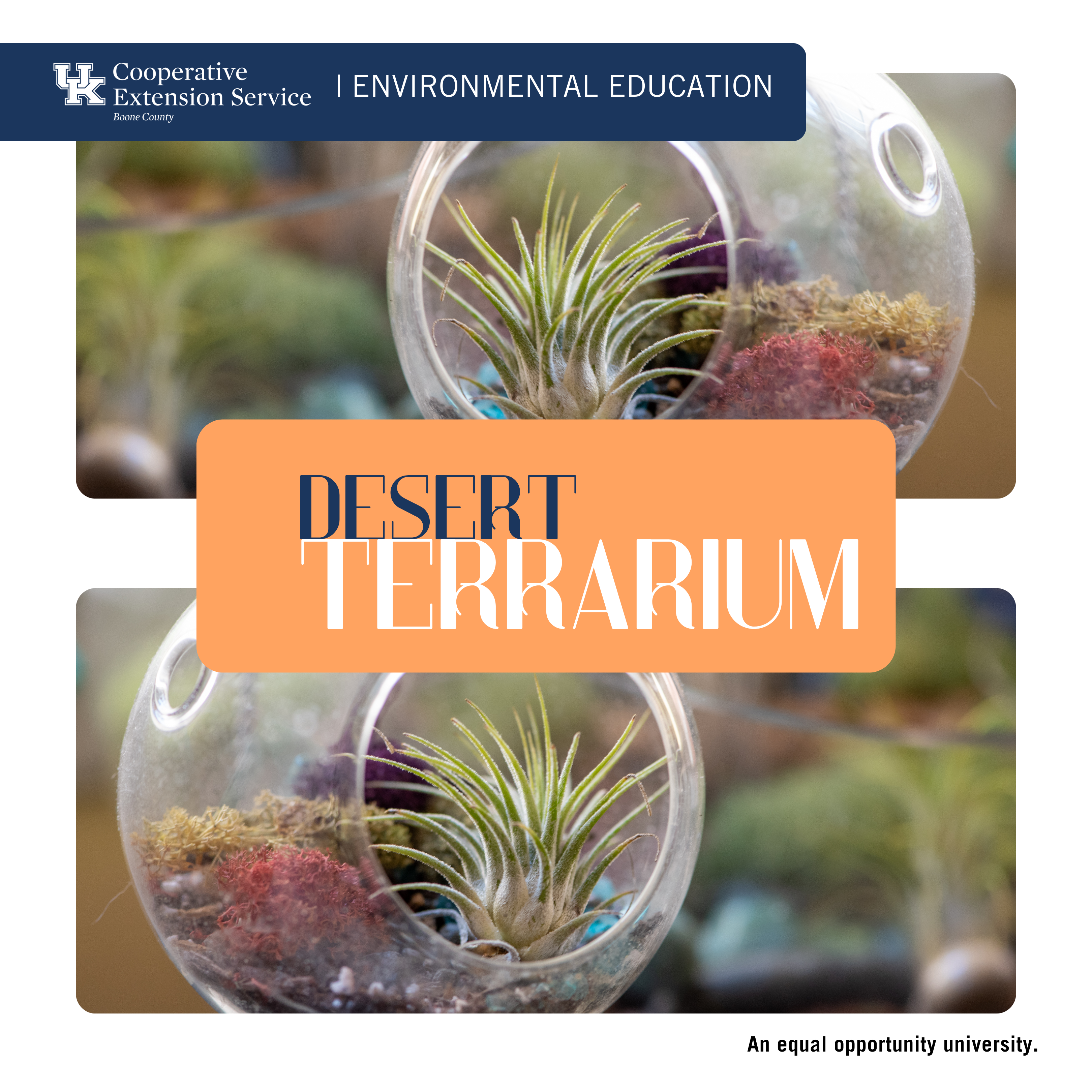 Desert Terrarium program ad