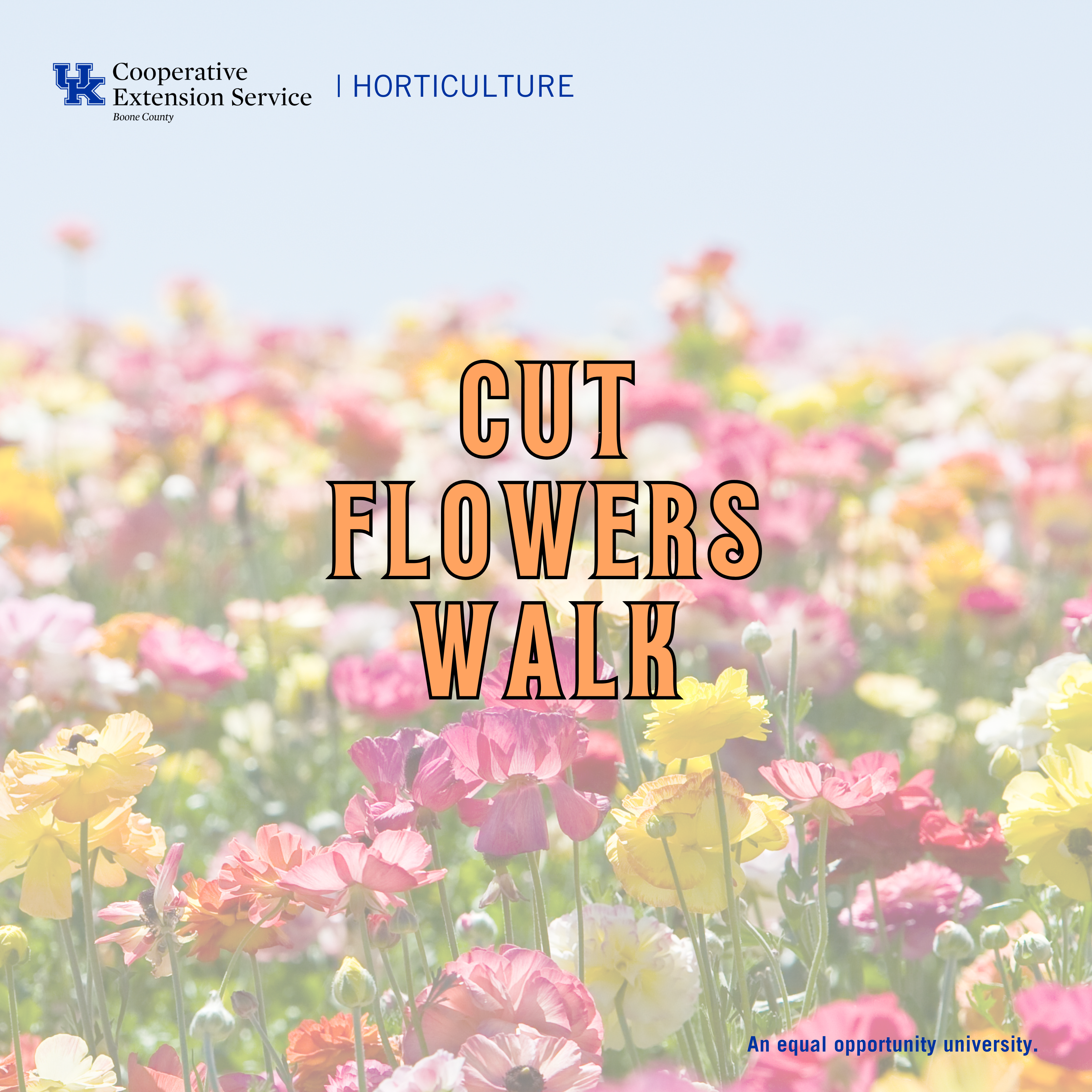 Cut Flower Walk Program Ad