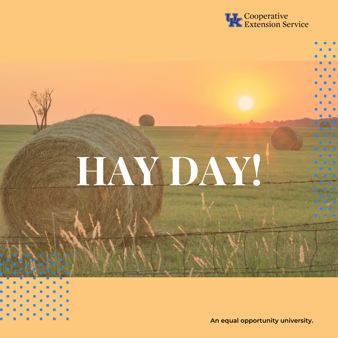 Hay Day! Program advertisement