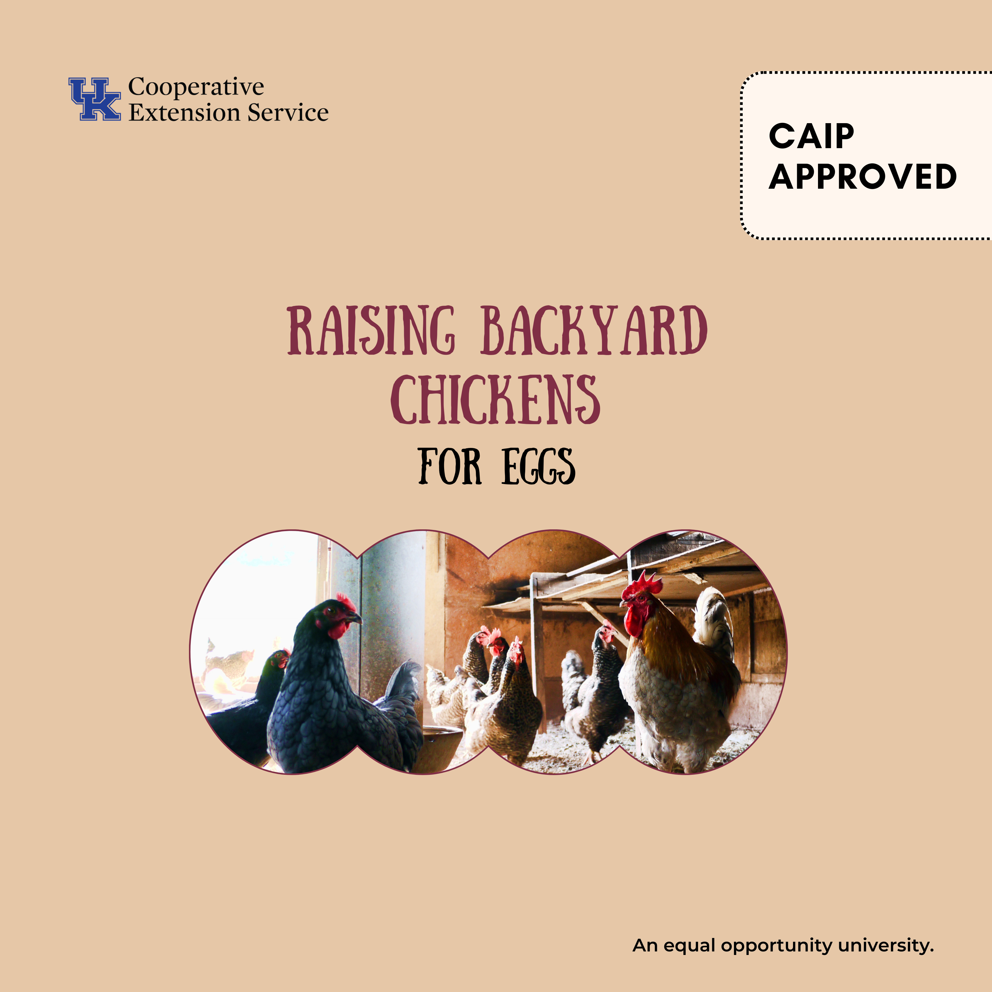 Raising Backyard Chickens program advertisement