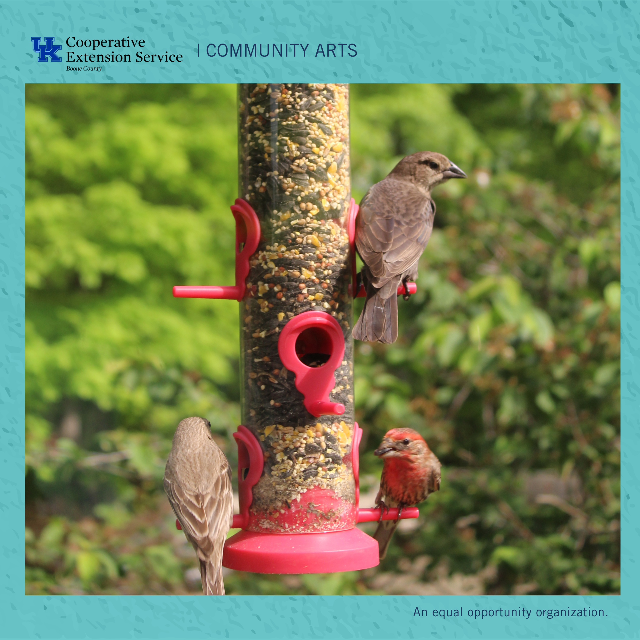 Drawing at the Bird Blind for Youth