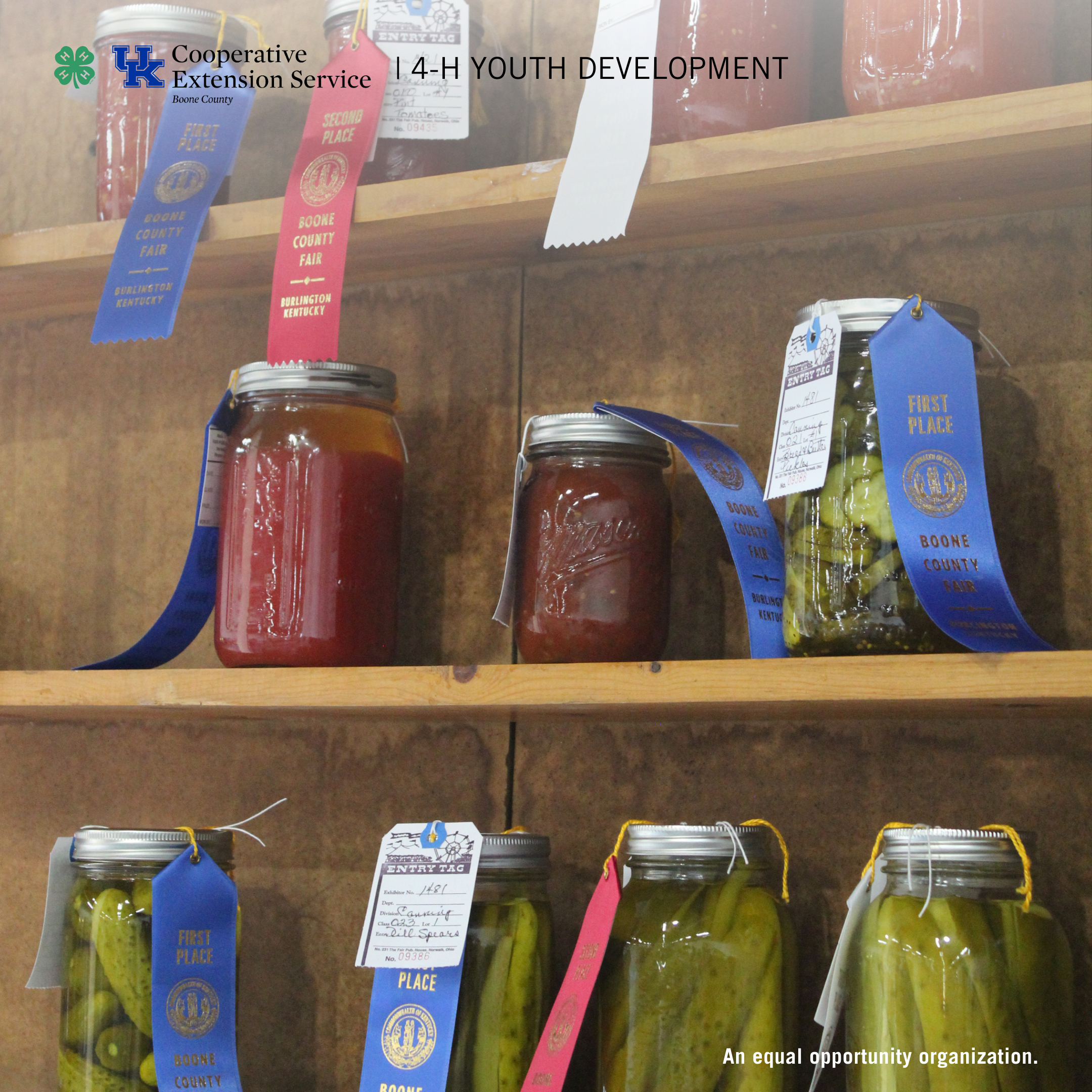 4-H Harvest, Food Exhibit & Food Preservation Judging Contest