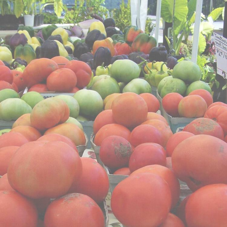  Veggies
