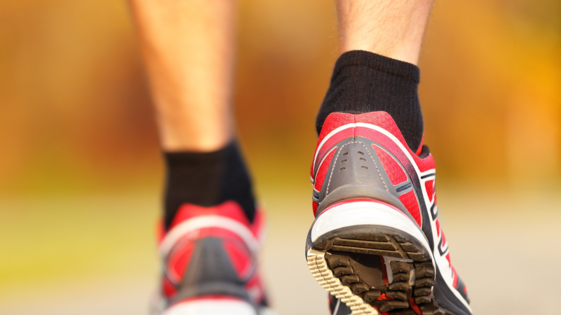 Boone County Wildcat Walkers | 12 Week Challenge