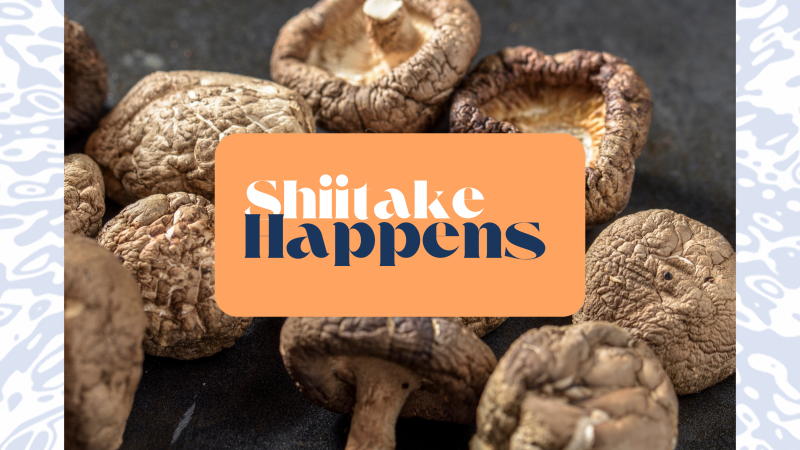 Shiitake Happens program ad