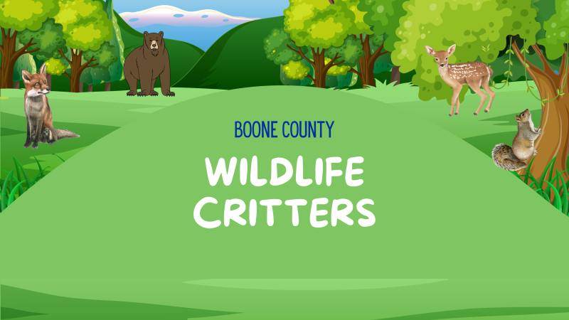 Wildlife Critters website event ad