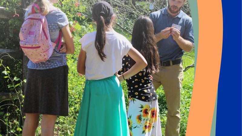 Youth Butterfly Walk