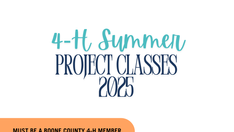 Sashiko | 4-H 2025 Summer Project Class