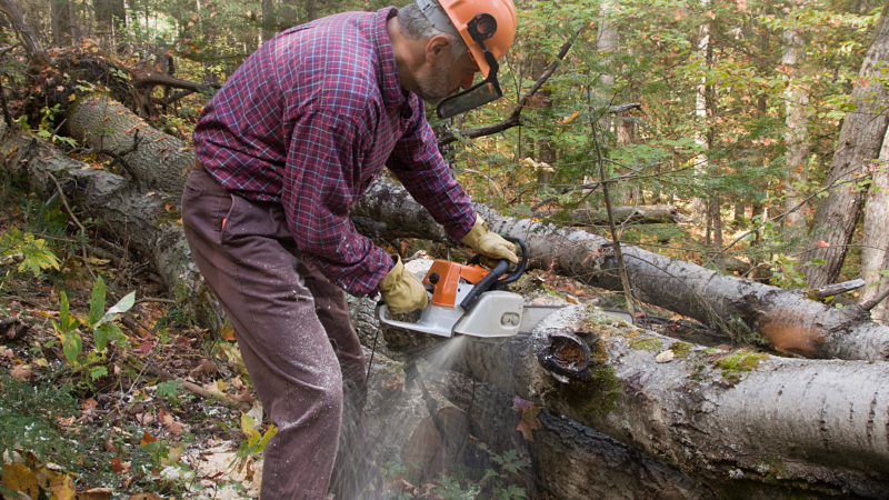 Master Logging Forestry Webinar