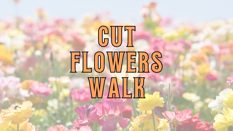 Cut Flower Walk Program Ad