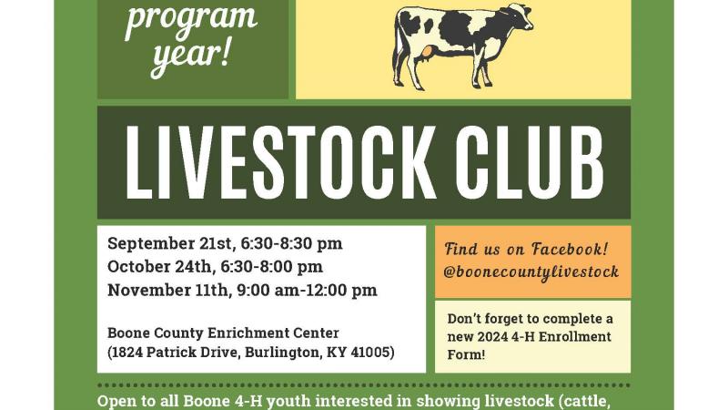 livestock club flyer