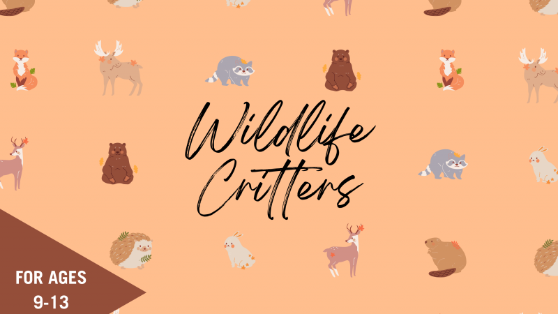Wildlife Critters website event ad