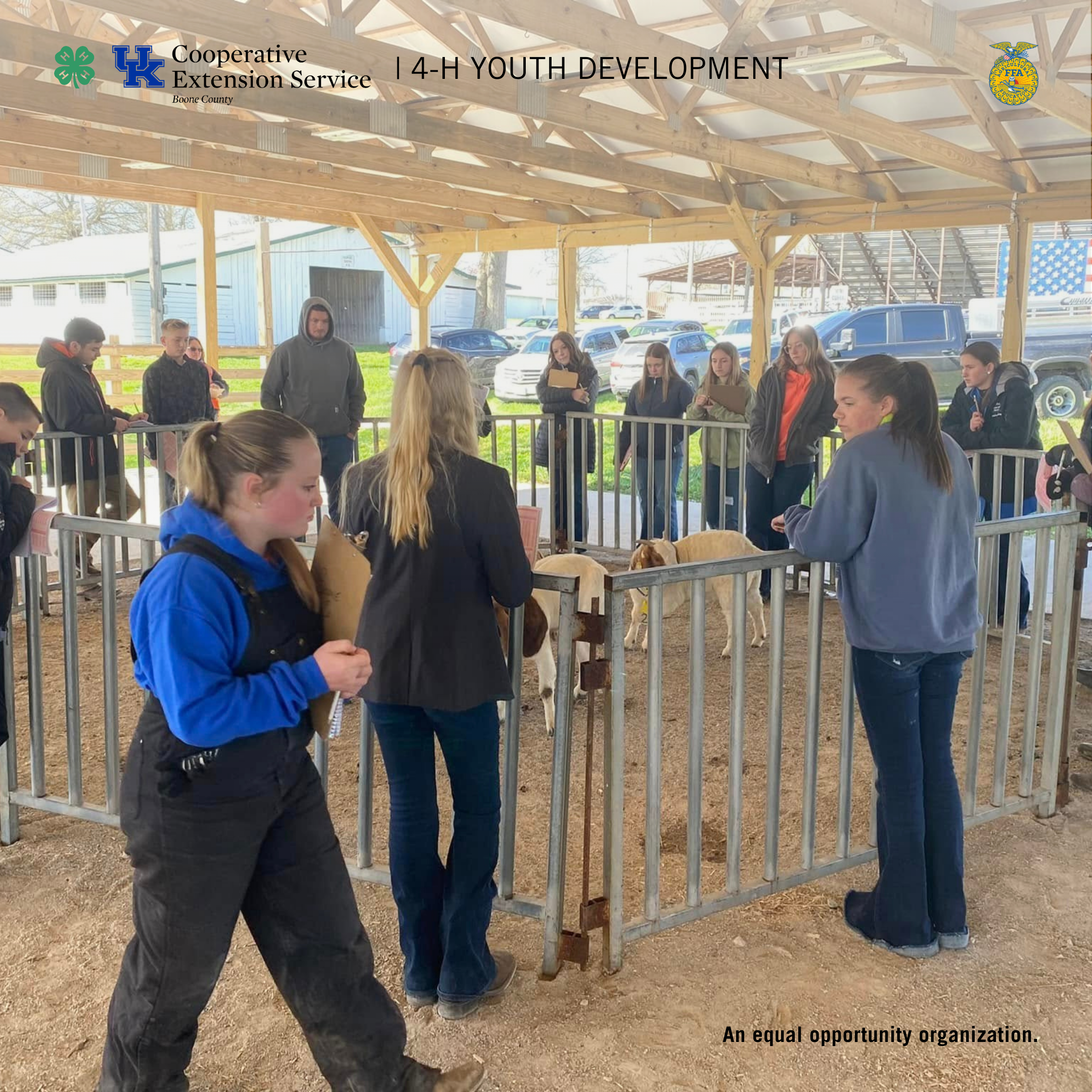 Boone County 4-H Livestock Judging Invitational