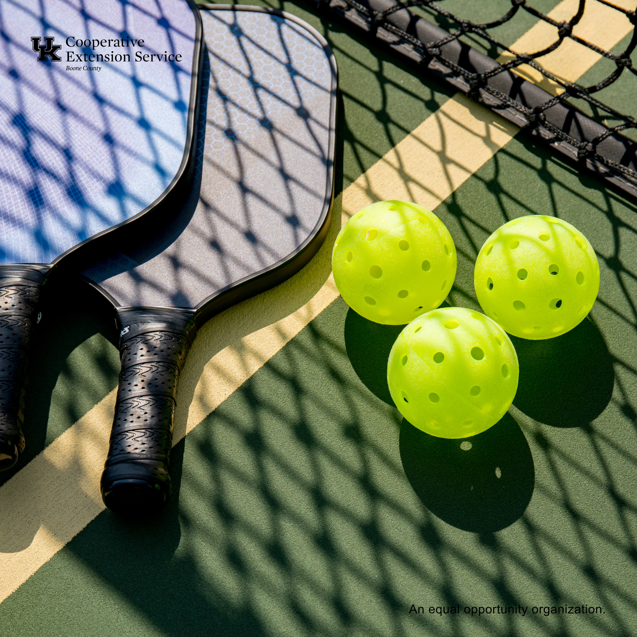 Intro to Pickleball for Adults
