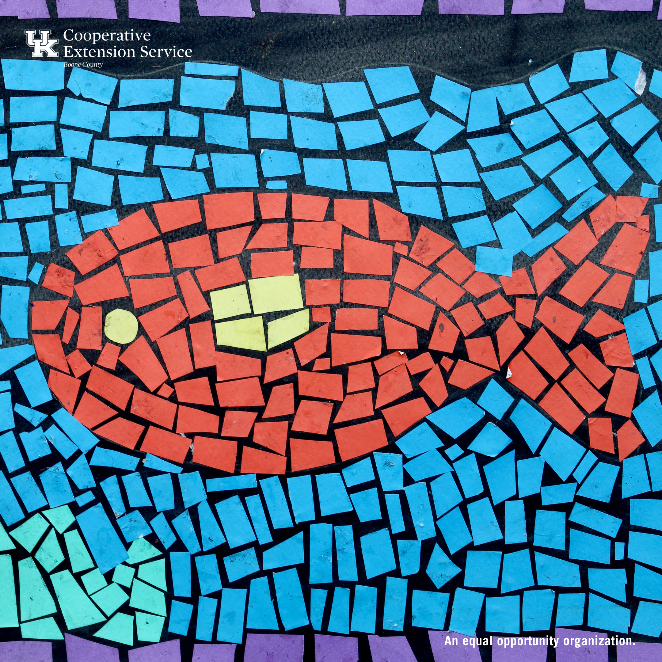 Piece by Piece: A Mosaic Adventure